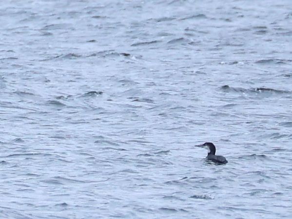 lodowiec  - Olaf Sobota