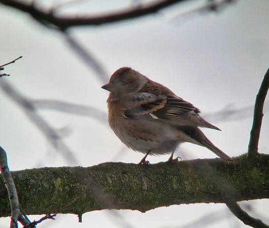 jer  - Tomasz Zarzycki