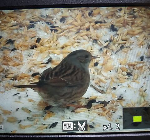 pokrzywnica  - Łukasz Krawczyk