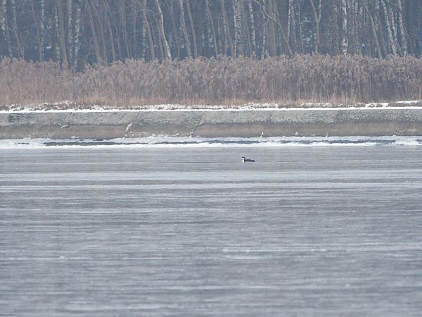 lodowiec  - Rafał Piernikarczyk