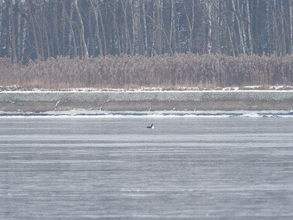 lodowiec  - Rafał Piernikarczyk