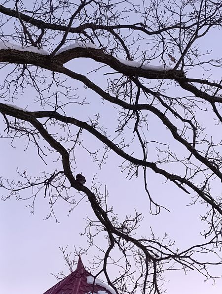 pójdźka  - Piotr Olszewski