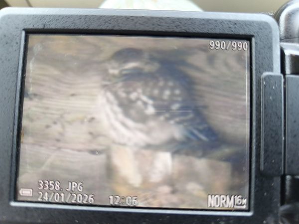 pójdźka  - Piotr Olszewski