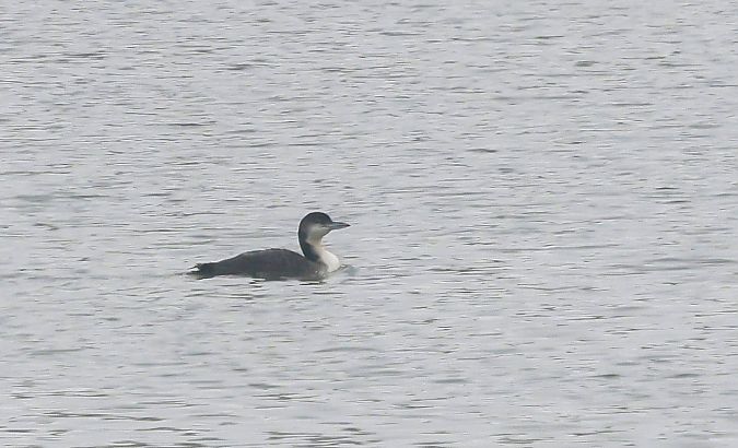 lodowiec  - Damian Mikulski