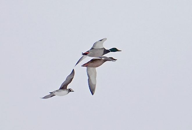 lodówka  - Grzegorz Grygoruk