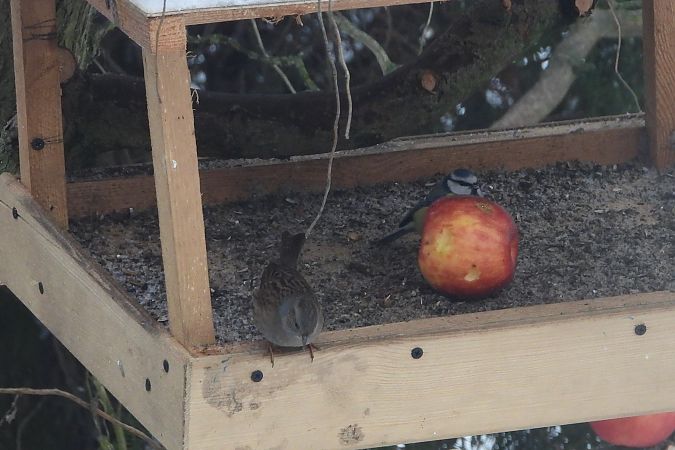 pokrzywnica  - Justyna Krawczyk