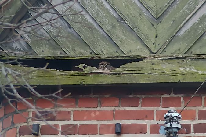 pójdźka  - Marcin Dec