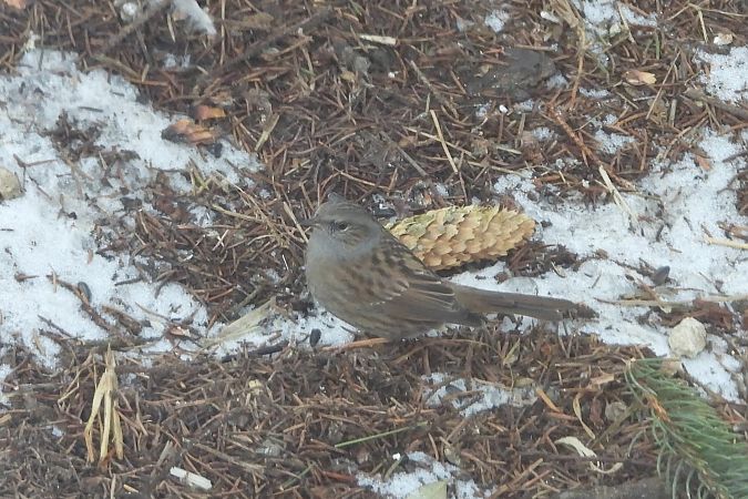 pokrzywnica  - Łukasz Krawczyk