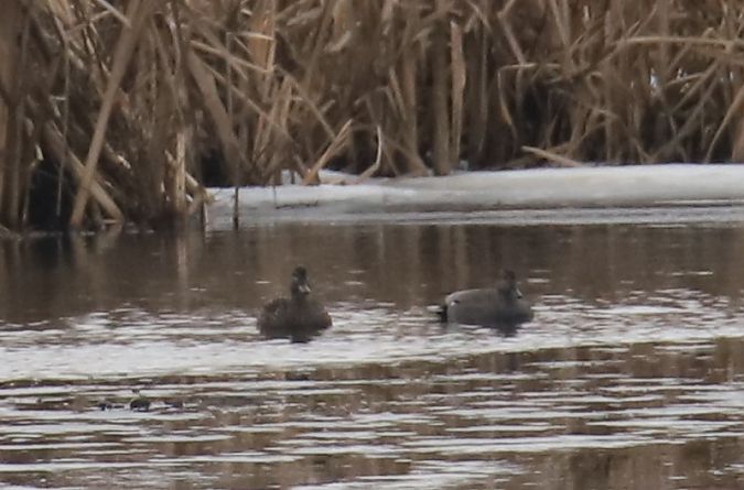 krakwa  - Henryk Piernikarczyk