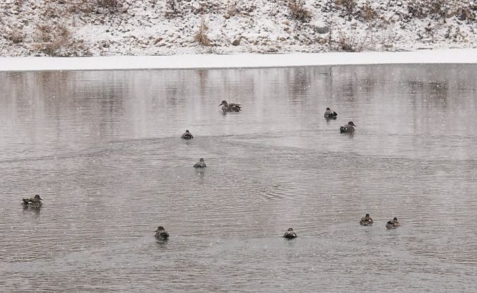 krakwa  - Rafał Walczybok