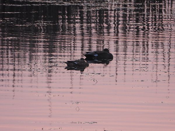 krakwa  - Arek Szypicyn