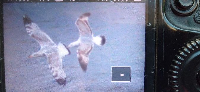 orlica  - Bogusław Czerwiński