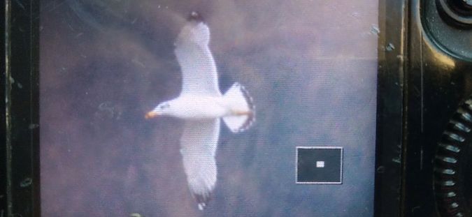 orlica  - Bogusław Czerwiński