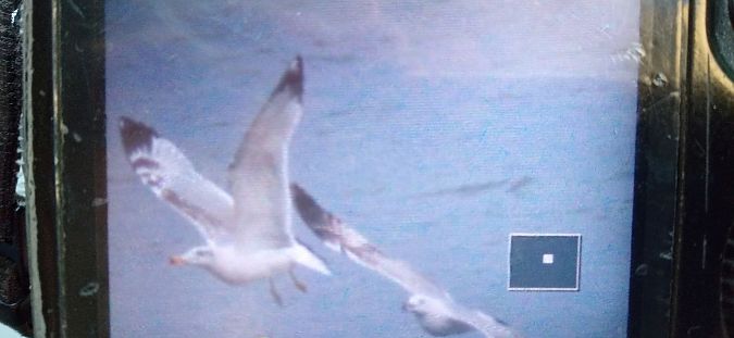 orlica  - Bogusław Czerwiński