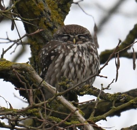pójdźka  - Artur Andrzejewski