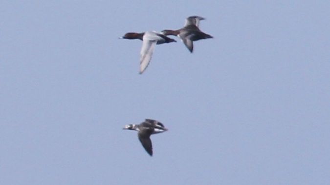 lodówka  - Grzegorz Kaczorowski