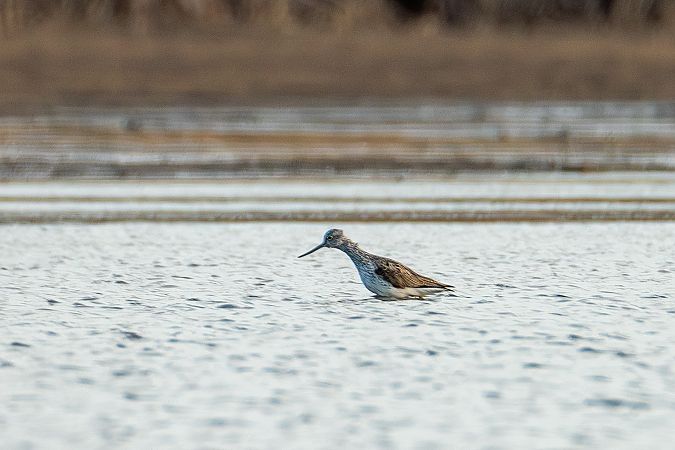 kwokacz  - Mateusz Boinski