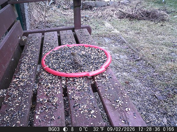 kulczyk  - Jacek Betleja