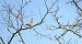 gajówka 