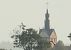 mewa czarnogłowa  - Grzegorz Neubauer