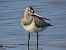 szlamnik  - Jarosław Słowikowski